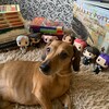 Логотип телеграм канала @reads_alex — Алекс читает📚