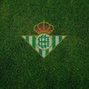 Logo of telegram channel realbetis9 — Betis Family