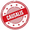 Logo of telegram channel realcausalis — 🔹 Causalis