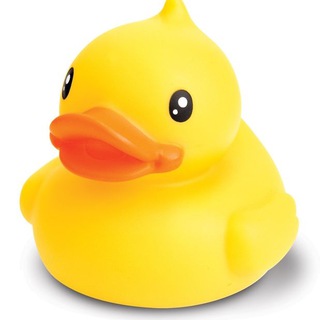 Логотип телеграм канала @realducktales — Утиные истории