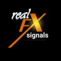 Logo saluran telegram realfxrepublic — Real FX signals 💥