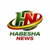 Telegram channel Habesha News logo