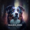 Logo of telegram channel realiable_dogs — 𝐑𝐄𝐀𝐋𝐈𝐀𝐁𝐋𝐄_𝐃𝐎𝐆𝐒
