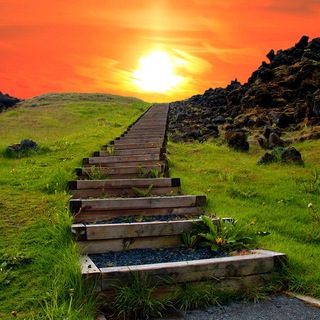 Telegram channel ДОРОГА РЕАЛЬНОСТИ - Подпишись и поделись logo