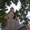 Логотип телеграм канала @reallatvia — Реальная Латвия глазами местного кота Моцарта/Reālā Latvija vietējā kaķa Mocarta skatījumā
