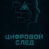 Логотип телеграм -каналу reallysova — Цифровой След