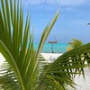 Логотип телеграм канала @realnyemaldives — Реальные Мальдивы 🏝️