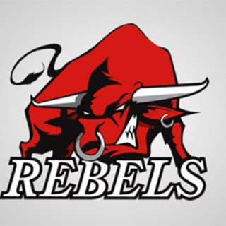 Логотип телеграм канала @rebels_monitoring — Rebels HYPE - Monitoring