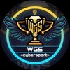 Логотип телеграм канала @recastwot — WGS | 3 ГОДА В АНАЛИТИКЕ
