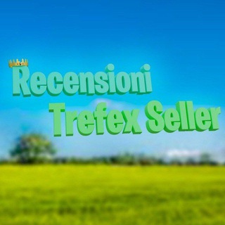 Logo del canale telegramma recensioni44 - tref rep
