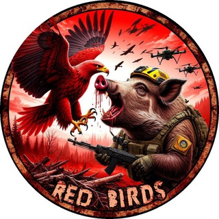 Логотип телеграм канала @red_birds_z — Красные птицы 18  ( Red Birds)