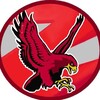 Логотип телеграм канала @red_birds_z — Красные птицы 18  ( Red Birds)