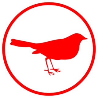 Logotipo del canal de telegramas redbirdoficial - RedBird | Canal Oficial #Ciberseguridad