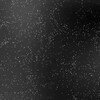 Логотип телеграм канала @redbullvnutrivenno — .⟡｡𖥔АлисаСлфцст𖥔˖⁺ ⟡⋆｡˚