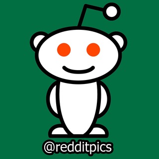 Логотип телеграм канала @redditpics — Reddit