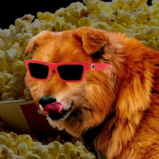 Логотип телеграм канала @reddogfilms_search — Поиск кино у Рыжего Пса