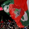 Логотип телеграм канала @redgreenlokofan — Red-Green Support
