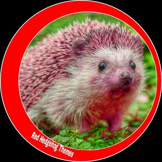 Logo of telegram channel redhedgehogthemes — Red Hedgehog Themes