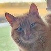 Telegram channel КОТЕЛЬ logo