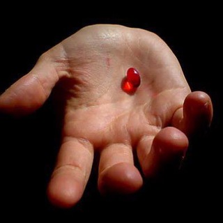Telegram channel RED PILL 💊 logo
