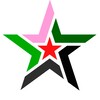 Логотип телеграм канала @redstarnn — МФК Ред Стар • Нижний Новгород