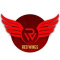 Logo saluran telegram redwings_parity_official — Red Wings 🔷 Parity 🔷