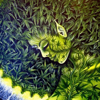 Логотип телеграм канала @reggeamusic — ReggaeMusic