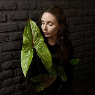 Логотип телеграм канала @regina_botanicaa — REGINA BOTANICA | РЕГИНА БОТАНИКА