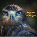 Logo saluran telegram regresoalorigen0 — Regreso al Origen ✳️