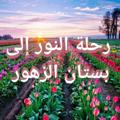 Telegram channel قناة أسعد ازبيطة الاجتماعية logo