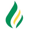 Logo of telegram channel reignitedemocracy — Reignite Democracy