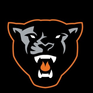 Logo des Telegrammkanals reinervpngroup - Reiner VPN [Channel]