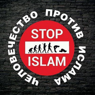 Логотип телеграм канала @reislamization1 — Деисламизатор