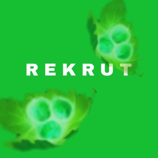 Логотип телеграм канала @rekrutshopdota — REKRUT_shop