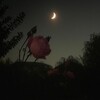 Логотип телеграм канала @remindersme1 — Покой души