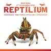 Логотип телеграм канала @rept_oficcial — Рептилиум Reptilium | змеи | ящерицы | лягушки | рыбки