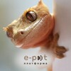 Логотип телеграм -каналу reptile_ukraine — 🦎 Рептилії Україна | Прилаштування та продаж | e-Pet
