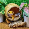 Логотип телеграм канала @reptizoo38 — Великолепная жизнь домашних животных 🦎🐢🕷🐭🐰🐶