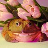Логотип телеграм канала @reptosekta — РептоСекта