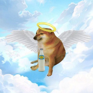 Telegram channel Republic of meme logo