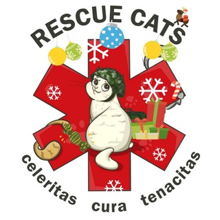Логотип телеграм -каналу rescue_cats_channel — RESCUE CATS