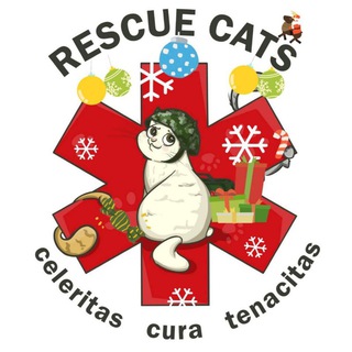 Telegram channel RESCUE CATS logo