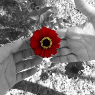 Logotipo del canal de telegramas retratos0 - Retrato's