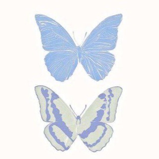 لوگوی کانال تلگرام rev_h — - 𓆩ريــڤـال ٨/١٤𓆪.