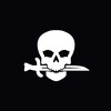 Логотип телеграм -каналу revanche_tactical_group — РЕВАНШ: ТАКТИЧНА ГРУПА