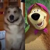 Логотип телеграм канала @reversanti — Reversantik