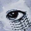 Логотип телеграм канала @revidity — revidity