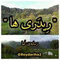 لوگوی کانال تلگرام reydariha2 — ریدری ها