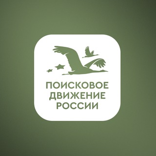Логотип телеграм канала @rfpoisk — Поисковое движение России 🇷🇺