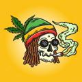 Logo saluran telegram rhastahouse — 🍁Rasta House🍁